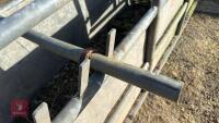 BATEMAN GALVANISED CATTLE CRUSH - 13