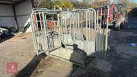 BATEMAN GALVANISED CATTLE CRUSH - 19