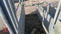 BATEMAN GALVANISED CATTLE CRUSH - 23