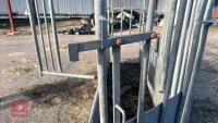 BATEMAN GALVANISED CATTLE CRUSH - 24