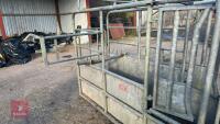 BATEMAN GALVANISED CATTLE CRUSH - 26