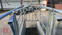 BATEMAN GALVANISED CATTLE CRUSH - 27