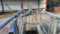 BATEMAN GALVANISED CATTLE CRUSH - 28
