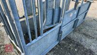 BATEMAN GALVANISED CATTLE CRUSH - 29