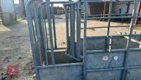 BATEMAN GALVANISED CATTLE CRUSH - 30