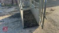 BATEMAN GALVANISED CATTLE CRUSH - 32