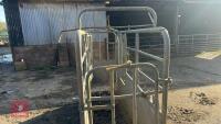 BATEMAN GALVANISED CATTLE CRUSH - 36