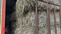 28 BALES OF STRAW AND TRAILER - 19