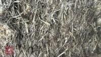 28 BALES OF STRAW AND TRAILER - 26