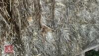 28 BALES OF STRAW AND TRAILER - 28