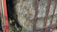 28 BALES OF STRAW AND TRAILER - 29