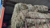 28 BALES OF STRAW AND TRAILER - 31