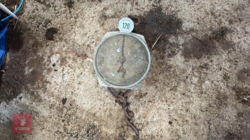SALTER WEIGH SCALES