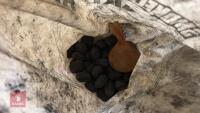 50KG+ OF TAYBRITE - 7