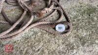 WIRE ROPE & ROPE - 6