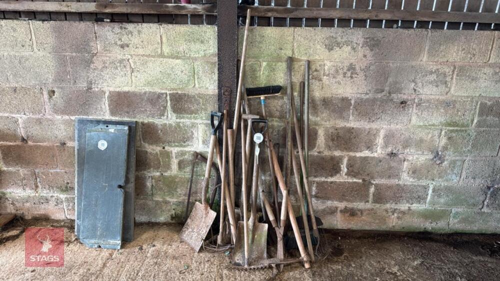 VARIETY OF HAND TOOLS