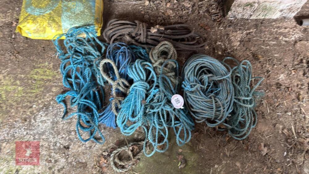 LARGE VARIETY OF ROPE