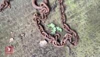 2M TOW CHAIN - 5