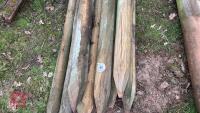 8 MIXED WOODEN FENCE POSTS - 3