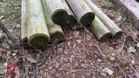 8 MIXED WOODEN FENCE POSTS - 7