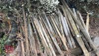 MIXED POSTS & TIMBER - 2