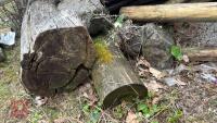 MIXED POSTS & TIMBER - 8
