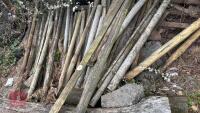 MIXED POSTS & TIMBER - 12