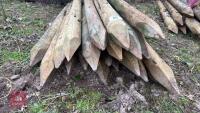 20 X 5' WOODEN STAKES - 3