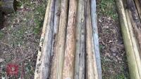 21 X 5' WOODEN STAKES - 4