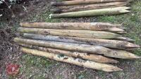 21 X 5' WOODEN STAKES - 8