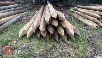 21 X 5' WOODEN STAKES - 2