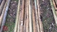 21 X 5' WOODEN STAKES - 4