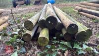 21 X 5' WOODEN STAKES - 7