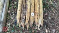 20 X 5' WOODEN STAKES - 3