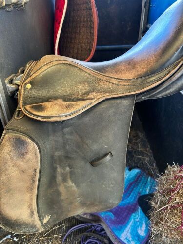 2 GFS SADDLES