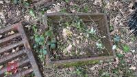 2 DRAIN COVERS - 6