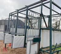 3 HORSE STARTING STALLS - 3