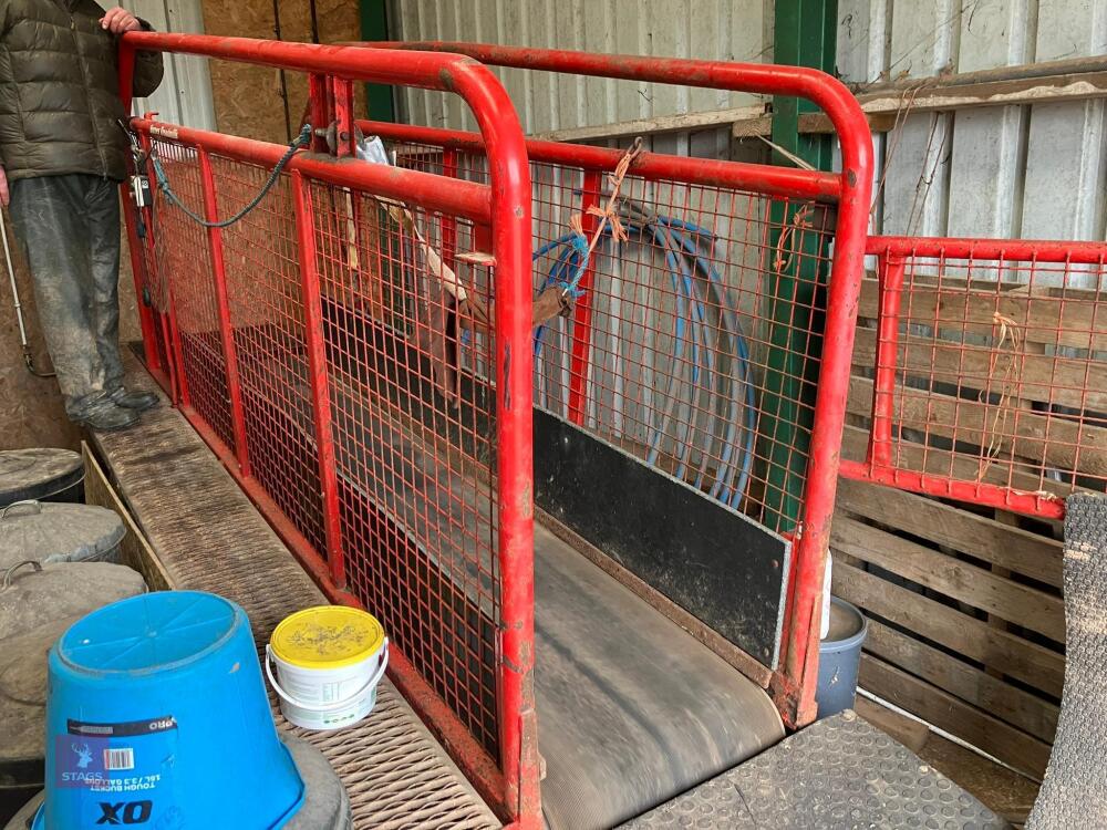 SURREY HORSE TREADMILL