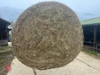 20 ROUND BALES OF 2025 HAY - BIDS PER BALE - 2