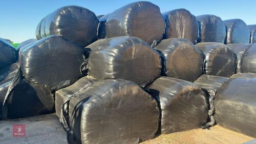 50 ROUND BALES OF 2ND CUT 2025 SILAGE - BIDS PER BALE