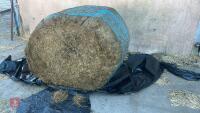 50 ROUND BALES OF 2ND CUT 2025 SILAGE - BIDS PER BALE - 4