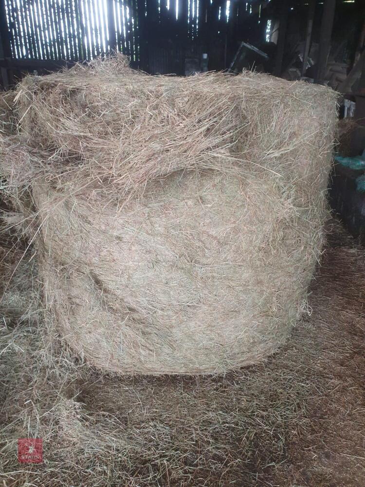15 ROUND BALES OF 1ST CUT 2025 HAYLAGE - BIDS PER BALE