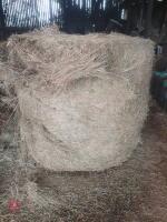 15 ROUND BALES OF 1ST CUT 2025 HAYLAGE - BIDS PER BALE