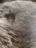 15 ROUND BALES OF 1ST CUT 2025 HAYLAGE - BIDS PER BALE - 4