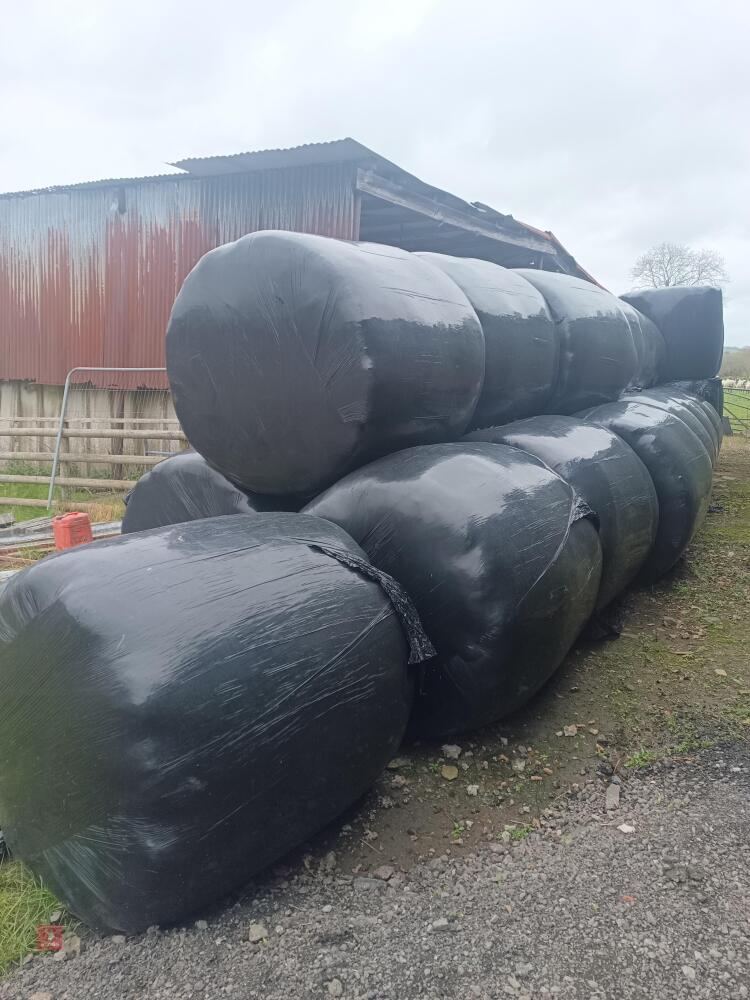 27 ROUND BALES OF 1ST CUT 2025 SILAGE - BIDS PER BALE