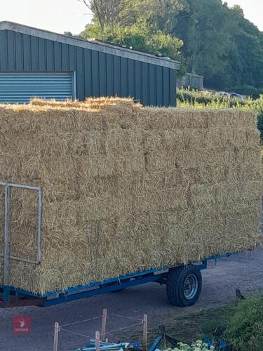 50 CONVENTIONAL BALES OF WHEAT STRAW - BIDS FOR THE GROUP