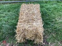 50 CONVENTIONAL BALES OF WHEAT STRAW - BIDS FOR THE GROUP - 2