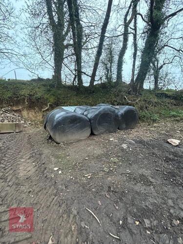 6 ROUND BALES OF SECOND CUT 2025 HERBAL LEY SILAGE - BIDS PER BALE