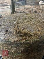 29 ROUND BALES OF FIRST CUT 2025 HERBAL LEY SILAGE - BIDS PER BALE - 3
