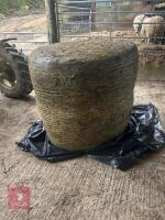 29 ROUND BALES OF FIRST CUT 2025 HERBAL LEY SILAGE - BIDS PER BALE - 4